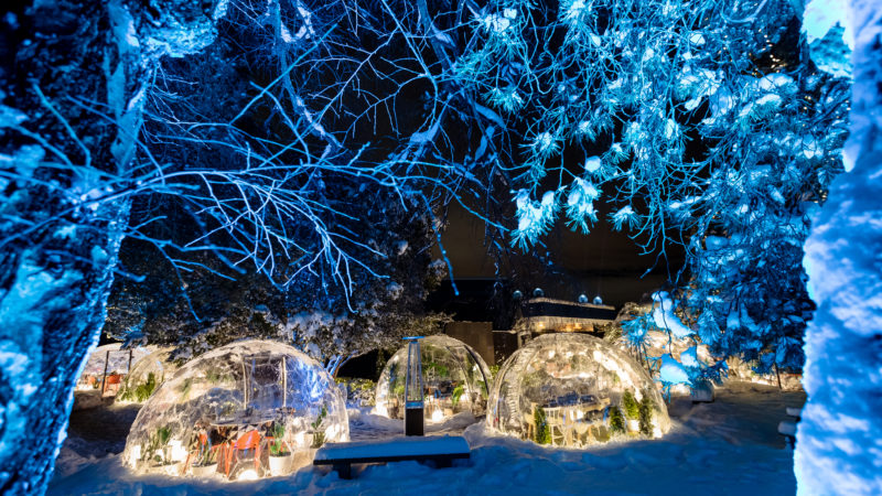EcoLux☆Lifestyle: ‘Dinner with a View’ Domes Delight Diners