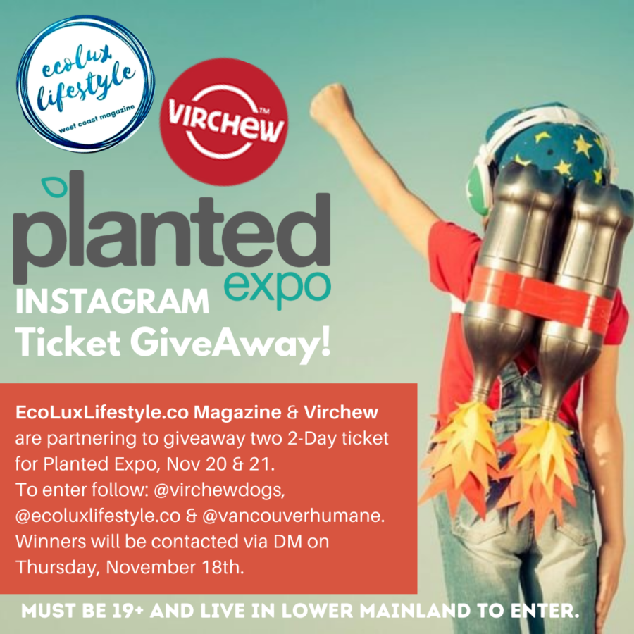 planted expo, vegan, plantbased, expo, vancouver, bc, helen siwak
