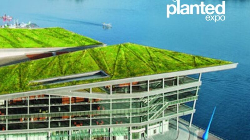 Planted Expo Features 200+ Plantbased Vendors & Key Speakers Rich Roll & Dr. Matthew Nagra