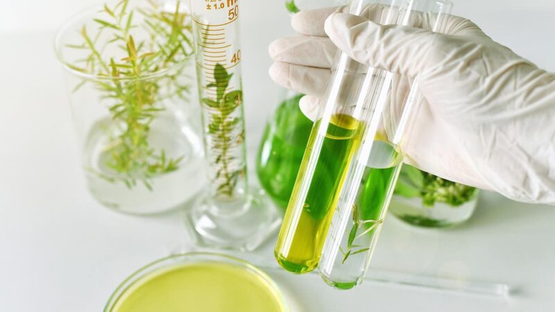 Huna Skincare: Innovation Through Science & 138-Acres of Botanicals