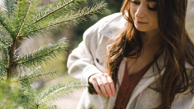 Essential Oils: Four Canadian Brands Creating Timeless Remedies
