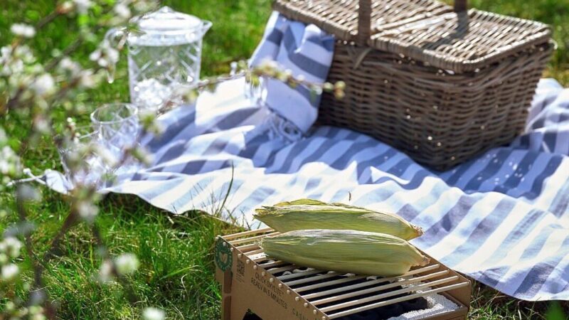 Green Machines: Make Your Home a Sustainability Paradise!