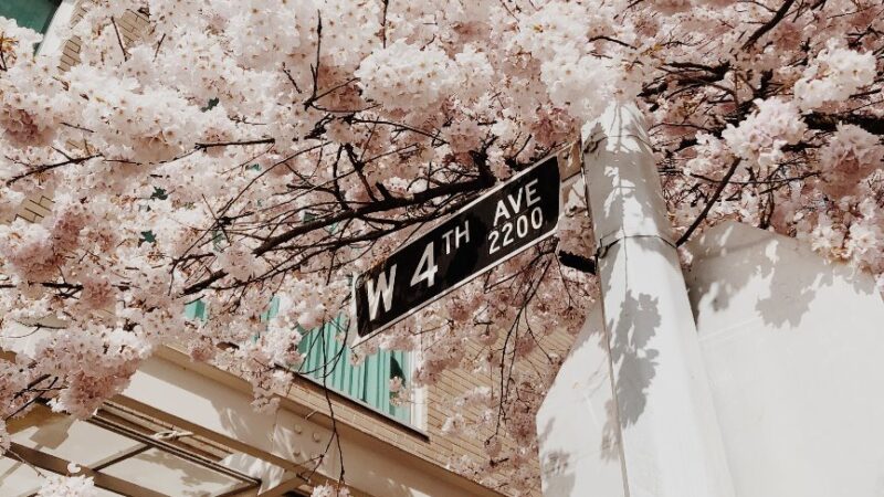 West 4th Avenue: Five Neighbourhood Shopping Experiences