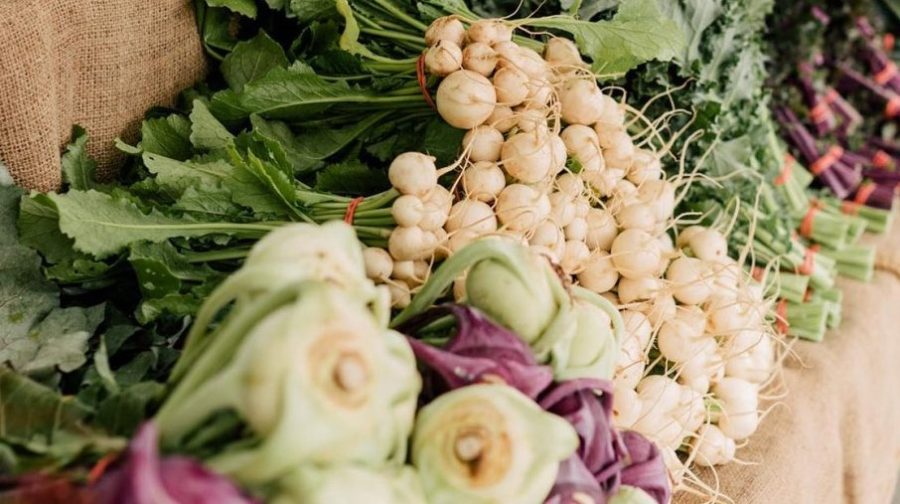 Gio Lazzarini, ecoluxlifestyle, greens, kale, arugula, micro greens, vegan, spinach, Swiss chard, plant based, cruelty-free