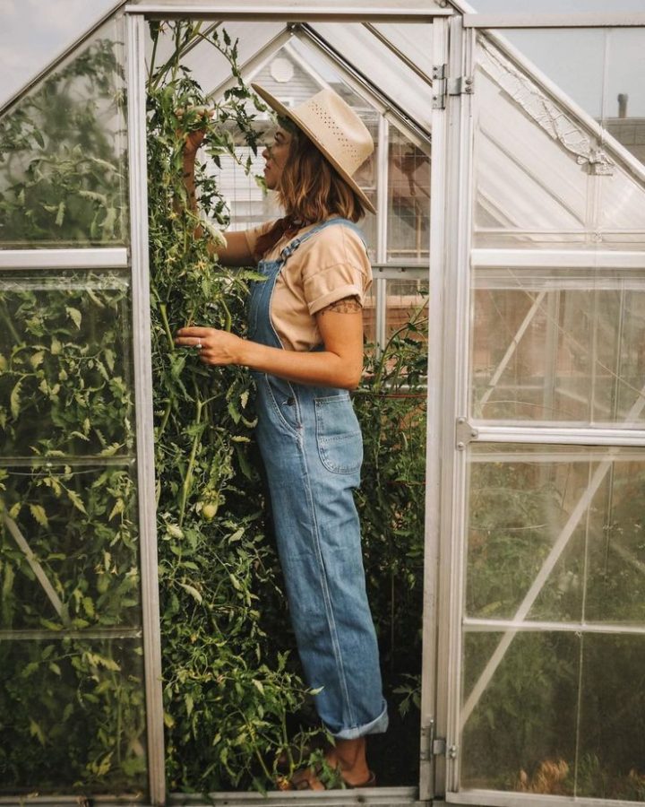 Greenhouse, home decor, health, wellbeing, food, organic, gardening, vancouver, yvr, Giovanna Lazzarini, ecoluxlifestyle, ecofriendly 