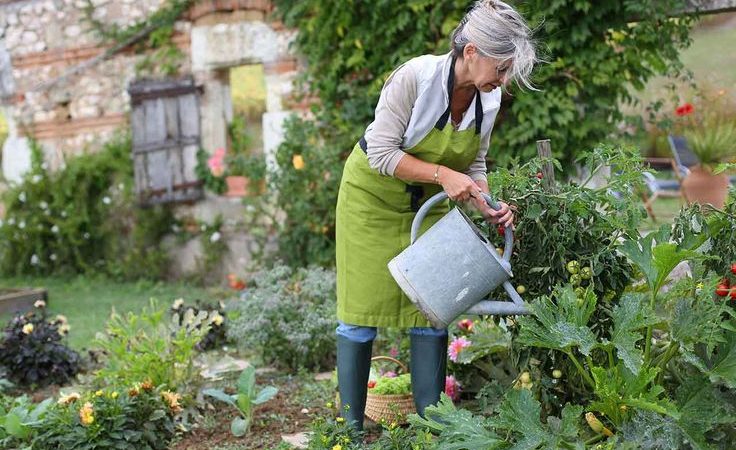 Improve Your Physical & Mental Wellness With A Home Greenhouse