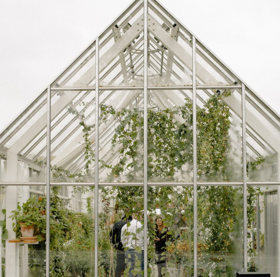 Greenhouse, home decor, health, wellbeing, food, organic, gardening, vancouver, yvr, Giovanna Lazzarini, ecoluxlifestyle, ecofriendly 