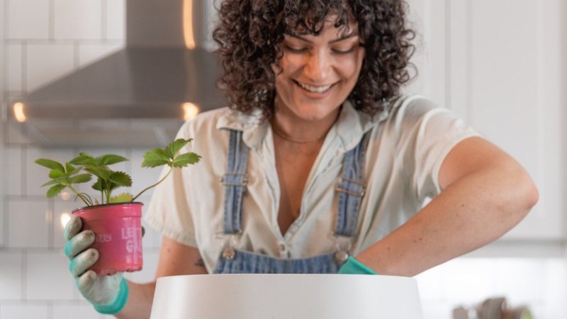 Give Your Home a Carbon Footprint Make-Over